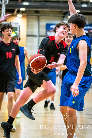 Aquinas vs Mount Basketball July 2024 wm-9306
