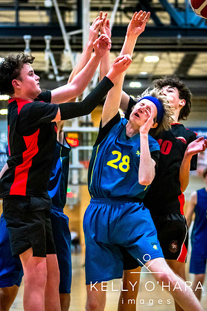Aquinas vs Mount Basketball July 2024 wm-9333