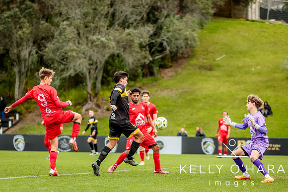 Franklin vs Northern Rovers 2024 wm-0986