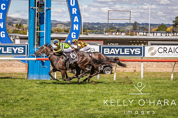 Tauranga Race Course March 15 2025 wm-0945
