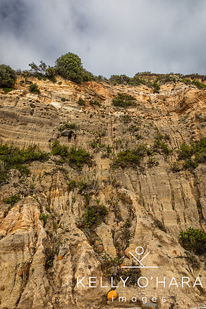 NewDicks Beach Day wm-0116