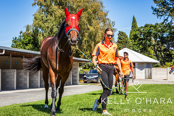 Tauranga Race Course March 15 2025 wm-0064