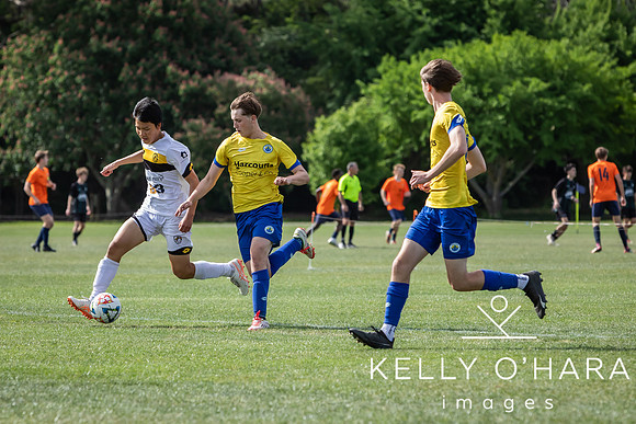 Day 1 Napier u19s 2025 wm-0383