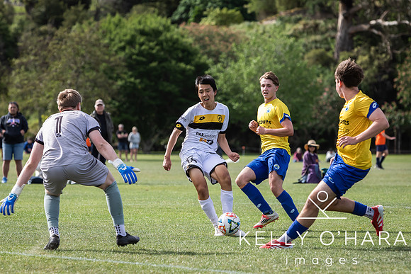 Day 1 Napier u19s 2025 wm-0431