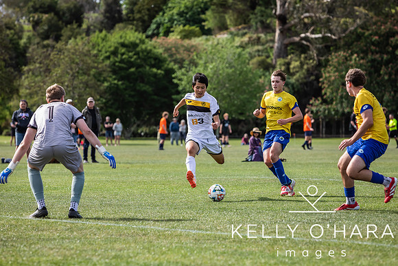Day 1 Napier u19s 2025 wm-0430