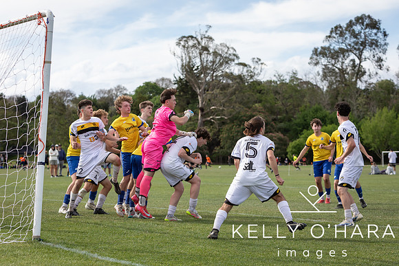 Day 1 Napier u19s 2025 wm-0469