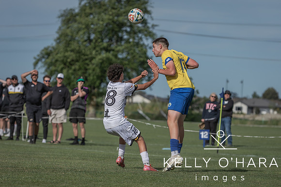 Day 1 Napier u19s 2025 wm-0481