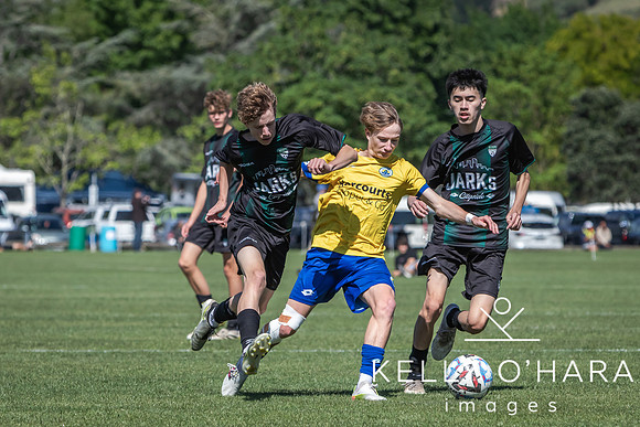 Day 1 Napier u19s 2025 wm-7829