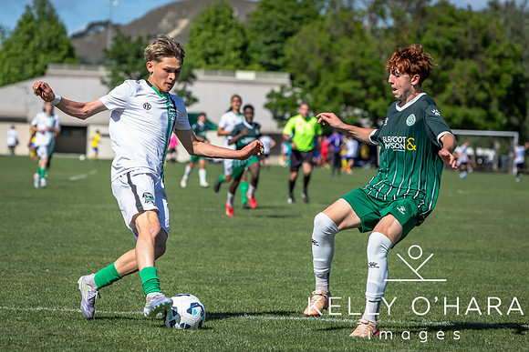 Day 2 Napier u19s 2025 wm-0033