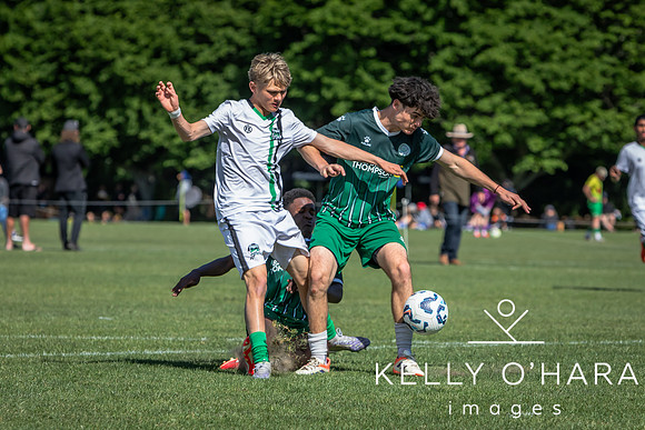 Day 2 Napier u19s 2025 wm-0024