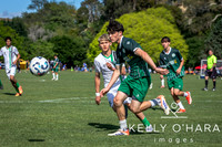 Day 2 Napier u19s 2025 wm-0045