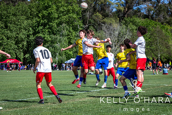 Day 2 Napier u19s 2025 wm-0117