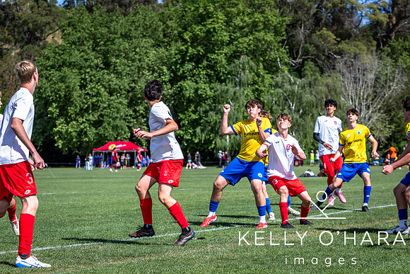 Day 2 Napier u19s 2025 wm-0115