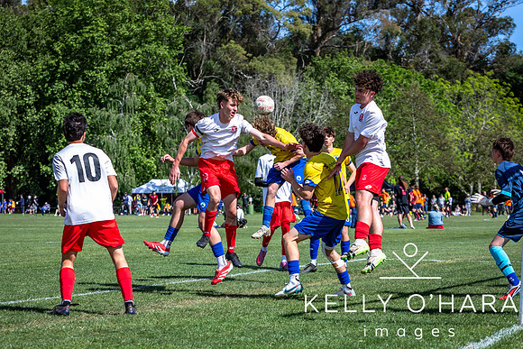 Day 2 Napier u19s 2025 wm-0118