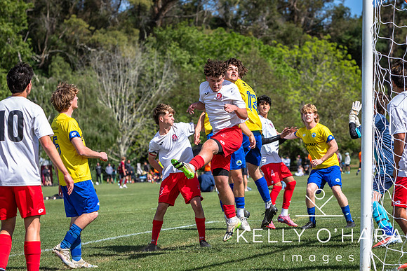 Day 2 Napier u19s 2025 wm-0192