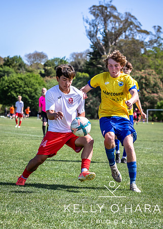 Day 2 Napier u19s 2025 wm-0234