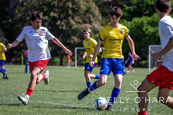 Day 2 Napier u19s 2025 wm-0238