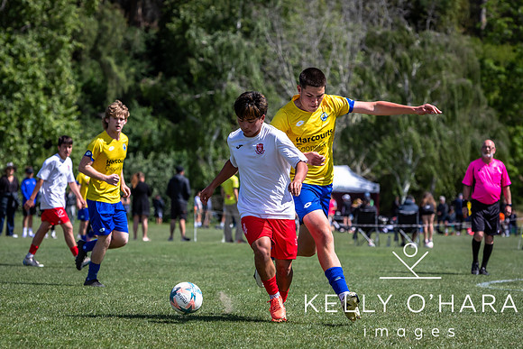 Day 2 Napier u19s 2025 wm-0305