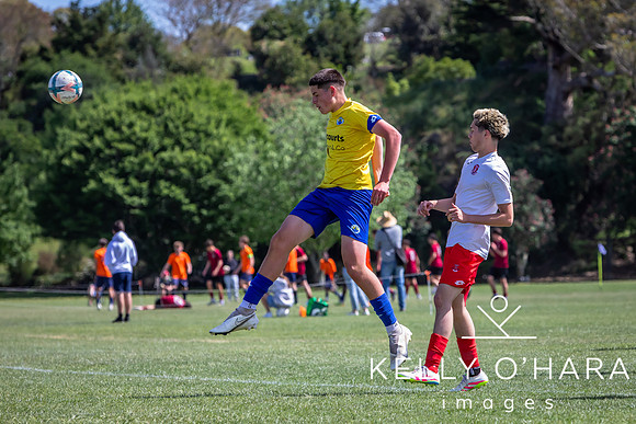 Day 2 Napier u19s 2025 wm-0317