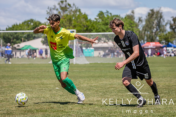 Day 2 Napier u19s 2025 wm-0381