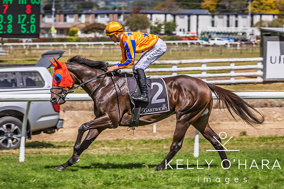 Tauranga Race Course March 15 2025 wm-0912