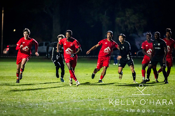 Franklin vs Manukau 2024 wm-8556