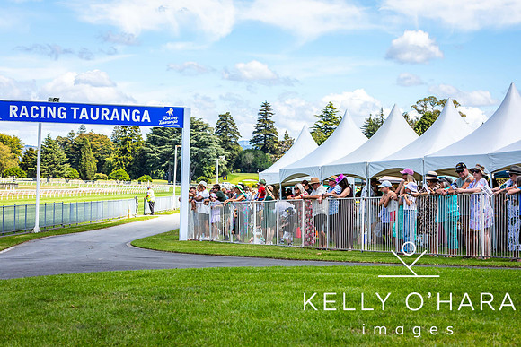 Tauranga Race Course March 15 2025 wm-0366