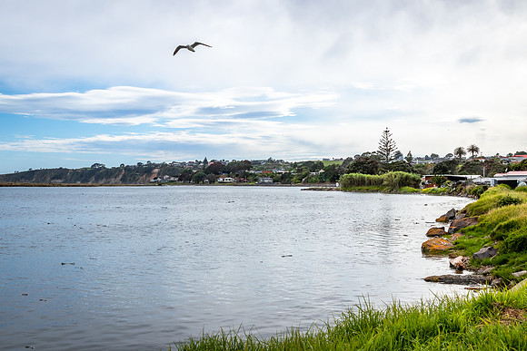 Whakaue Marae 2025 a-5649