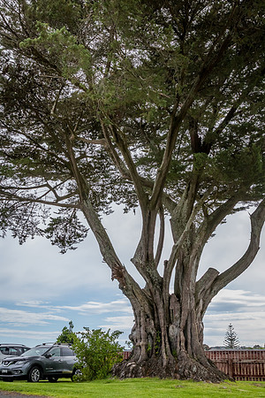 Whakaue Marae 2025 a-5698