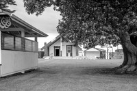 Whakaue Marae 2025 a-5700