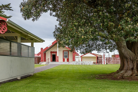 Whakaue Marae 2025 a-5702
