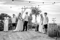 Lisa And Nik Wedding 2025-0163