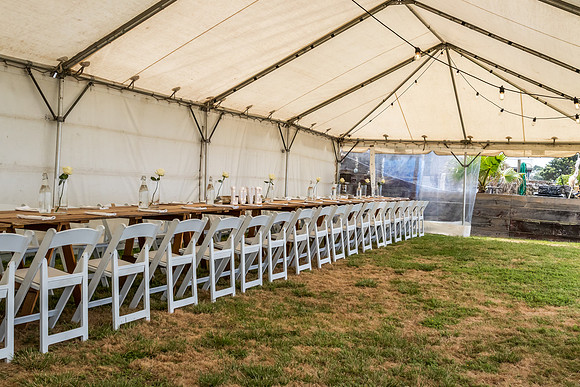 Lisa And Nik Wedding 2025-4430
