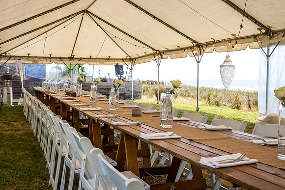 Lisa And Nik Wedding 2025-4433