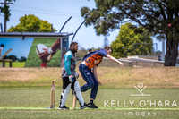 Papamoa Cricket January 2026 wm-0009