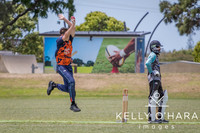 Papamoa Cricket January 2026 wm-0042