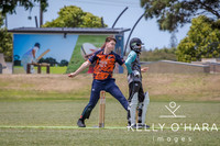 Papamoa Cricket January 2026 wm-0044