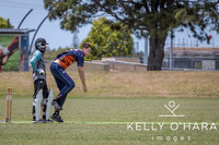 Papamoa Cricket January 2026 wm-0046
