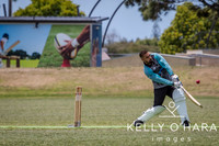Papamoa Cricket January 2026 wm-0054