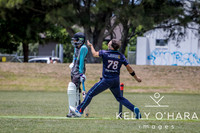 Papamoa Cricket January 2026 wm-0059
