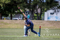 Papamoa Cricket January 2026 wm-0060