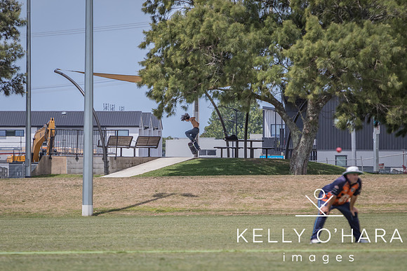 Papamoa Cricket January 2026 wm-0139