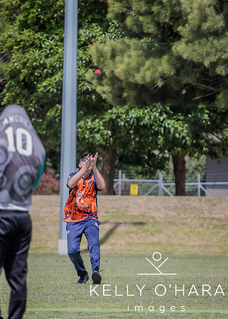 Papamoa Cricket January 2026 wm-0219