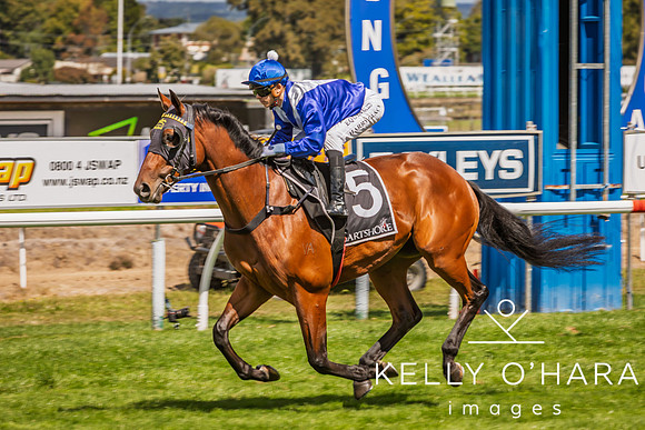 Tauranga Race Course March 15 2025 wm-0905