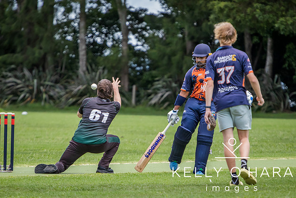 Papamoa Cricket January Te Waiti Park 2026 nwm-0222