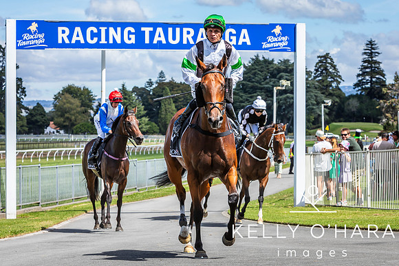 Tauranga Race Course March 15 2025 wm-0427