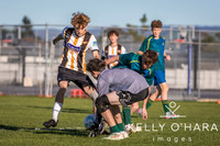Aquinas vs Katikati wm-2-2