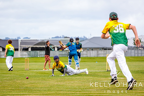 Aquinas Vs Mount Cricket 2024 wm-5956