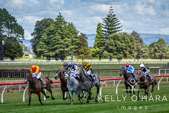 Tauranga Race Course March 15 2025 wm-0346