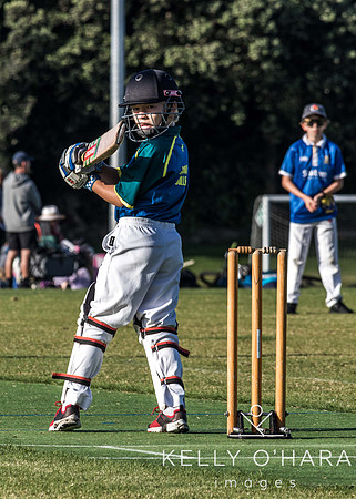 Aquinas Stags VS Albion 11.03.2023 wm-0070